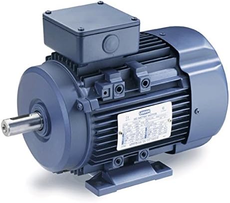 1/3-0.25 hp-kw 1100 RPM D80 Frame 208-230/460V Leeson Electric Metric Motor # 192022