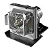 Dell 7609WU DLP Projector Replacement Lamp 300 Watts