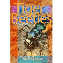 Tiger Beetles of Alberta: Killers on the Clay, Stalkers on the Sand (Alberta Insects Series)