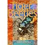 Tiger Beetles of Alberta: Killers on the Clay, Stalkers on the Sand (Alberta Insects Series)