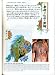 Gifu Horihide: Tattoo Illustrations and Photographs Vol. 2 (Horihide: Shisei Genga shu. Dai-2-kan.) (in Japanese) (English and Japanese Edition)