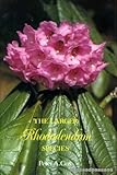 The larger rhododendron species