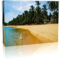 Palm Tree Lined Beach Abstract Art Canvas Art Print - Modern Art - Framed Ready to Hang (20 inch x 30 inch)
