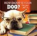 How Smart Is Your Dog?