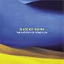 Slack Key Guitar: The Artistry of Sonny Lim