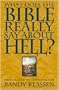 What Does the Bible Really Say About Hell? Wrestling With the Traditional View (Living Issues Discussion, Vol. 2) (Living Issues Discussion Series)