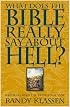 What Does the Bible Really Say About Hell? Wrestling With the Traditional View (Living Issues Discussion, Vol. 2) (Living Issues Discussion Series)