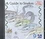 A Guide to Snakes: Vet Guide : Basics Procedures Diseases Resources