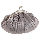 Jessica McClintock Pleated Frame Clutch