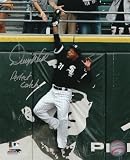 Dewayne Wise Chicago White Sox Autographed 8x10 Photograph with Perfect Catch Inscription