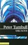Chill Factor (Hennessey and Yellich Mysteries)