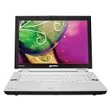 Toshiba Qosmio F45-AV425 15.4-inch Laptop (Intel Core 2 Duo Processor T7250, 2 GB RAM, 300 GB Hard Drive, Vista Ultimate)