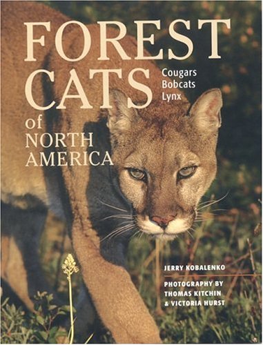 North America