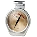 Taylor Gourmet Oven Thermometer - Stainless Steel/Copper