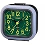 CASIO (�J�V�I) �ڊo�����v �A�i���O �f�X�N�g�b�v�N���b�N TQ-306C-2RJF