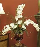 White Phaenopsis Orchids in Scalloted Vase - B0039098QK