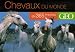 Chevaux du monde en 365 photos