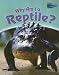 Book Why Am I a Reptile? (Classifying Animals)