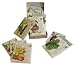 "The Organic Vegetable Garden" 12 Organic Seed Packets By Botanical Interests in a Gift Box