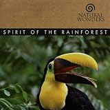 Spirit Of The Rainforest