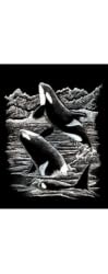 Silver Foil Engraving Art Orca Whales