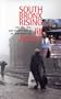 South Bronx Rising: The Rise, Fall, and Resurrection of an American City