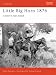 Little Big Horn, 1876: Custer's Last Stand (Osprey Campaign)