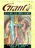 Grants Atlas of Anatomy (Grant, John Charles Boileau//Grants Atlas of Anatomy)