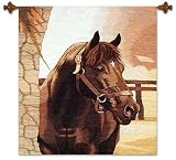 Review Novica  / Alpaca wool tapestry, 'Show Horse'