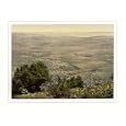 Mt. Hermon and Plain of Tabor Holy Land (Lebanon and Syria), c. 1890s, S-UNF