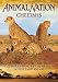 Animal Nation - Cheetahs [DVD]