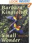 Small Wonder (Walker Large Print Books)