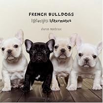 French Bulldogs: Lightweights Littermates