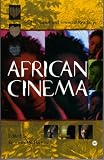 African Cinema: Postcolonial and Feminist Readings