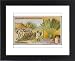 Framed Prints of Ravenala from Mary Evans