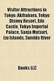 Visitor Attractions in Tokyo: Akihabara, Tokyo Disney Resort, EDO Castle, Tokyo Imperial Palace, Sanja Matsuri, Izu Islands, Sumida River-