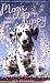 Magic Puppy