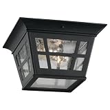 Sea Gull Lighting 78131-12 2-Light Herrington Flush Exterior Close to Ceiling Light, Black