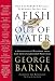 A Fish Out of Water: 9 Strategies Effective Leaders Use to Help You Get Back Into the Flow