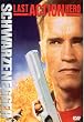 The Last Action Hero