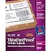Avery Weatherproof Laser Shipping Labels, 5.5 x 8.5-Inches, Pack of 100 (5526)