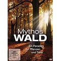 Mythos Wald