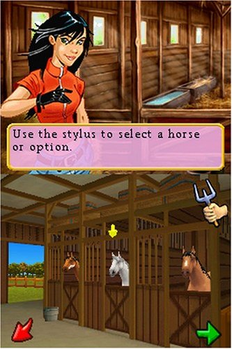 Ener-G Horse Rider image