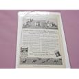 1915 Original Carnation Brand Evaporated Milk Ad Featuring Panama-Pacific International Exposition, San Francisco