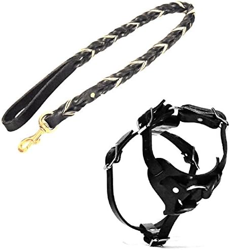 Dog Harness and Leash Premium Black Leather for Walking Easy Training Large, Medium Dogs. Individually Hand Crafted. (4' Leash, M Harness)