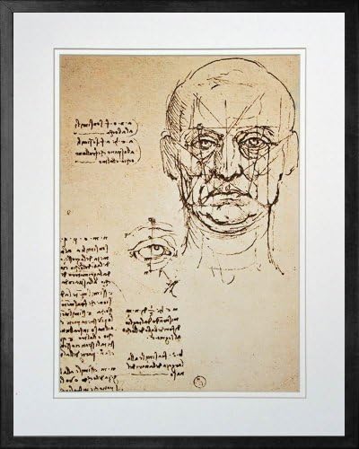 Study of Face and Eye by Leonardo da Vinci. Framed Art Print Poster. Custom Made Real Wood Modern Charcoal Black Frame (17 1/8 x 21 1/8)