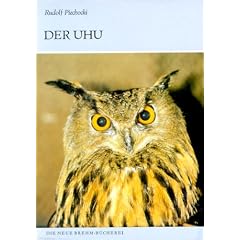Der Uhu: Bubo bubo