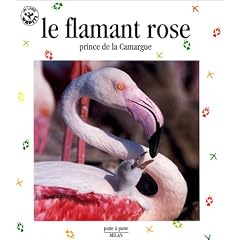 Le flamant rose, prince de la Camargue