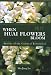 Book When Huai Flowers Bloom: Stories of the Cultural Revolution