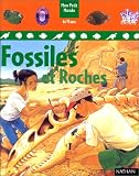 Fossiles et roches